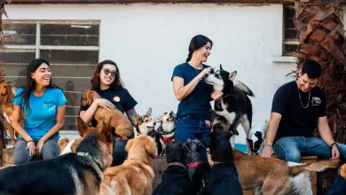 Happy Tails Monterrey, Nuevo León, México