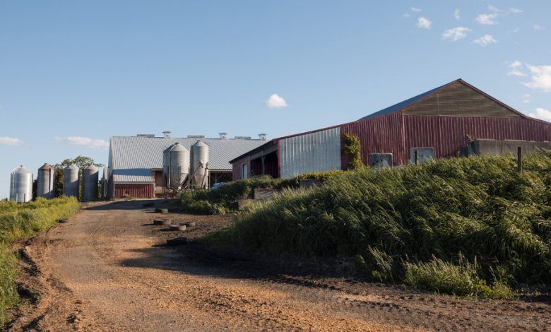 00small Farms 01 Lgwp Facebookjumbo.jpg