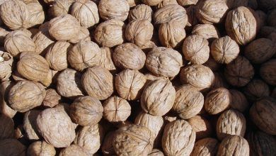 01xp Walnuts2 Facebookjumbo.jpg