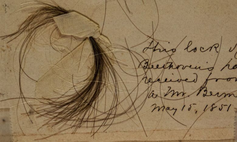 07beethoven Lead Facebookjumbo.jpg