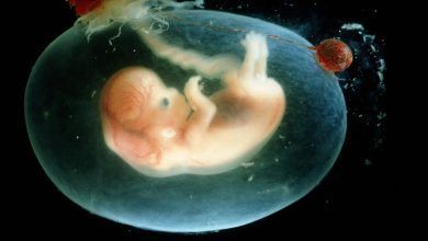 16 Pregnancy Costs Facebookjumbo.jpg