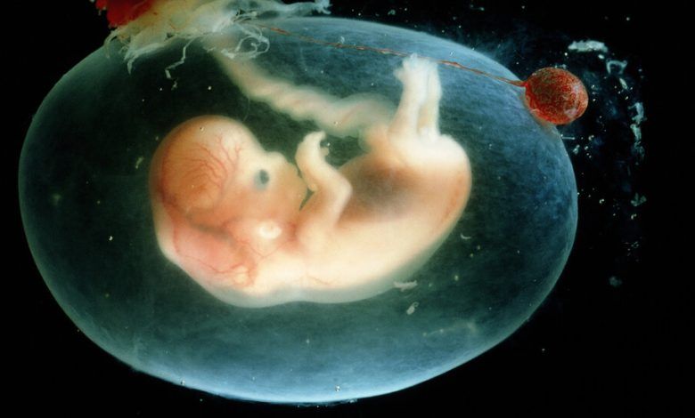 16 Pregnancy Costs Facebookjumbo.jpg