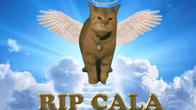 1717177189696.png