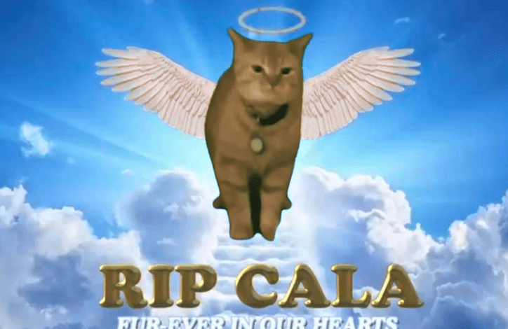 1717177189696.png