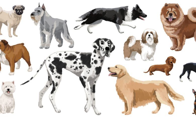 2024 02 27 Dog Inbreeding Index Facebookjumbo.jpg
