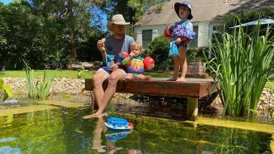 25natural Pools Wjzc Facebookjumbo.jpg