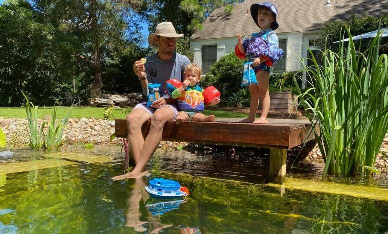 25natural Pools Wjzc Facebookjumbo.jpg