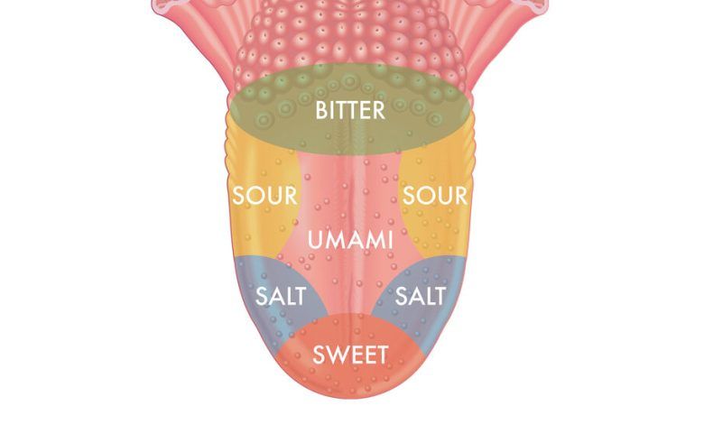 29tongue Facebookjumbo.jpg