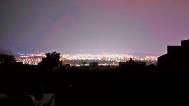 3114901.jpg