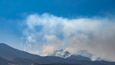 Anna Bruce Drought Oax March 2024 1 3 850.jpg