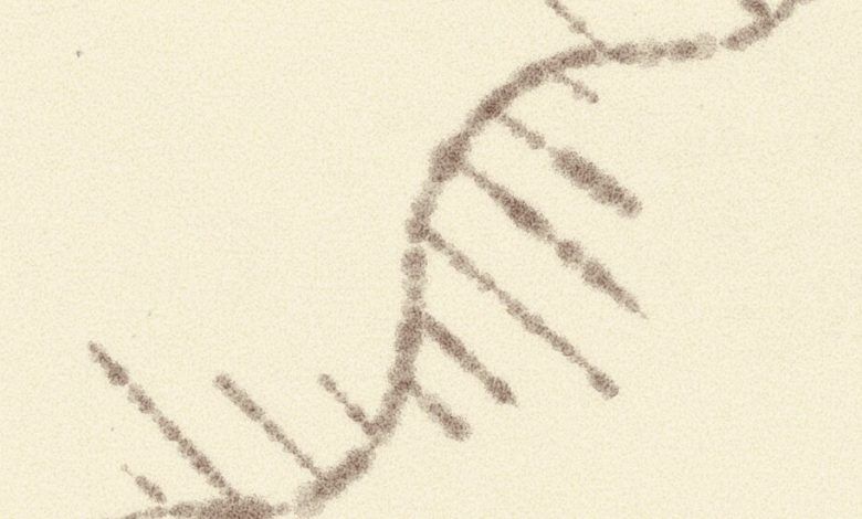 Rna F1 Still 1 Iris Wildros Facebookjumbo.jpg