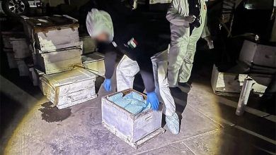 Sinaloa Decomiso Fentanilo.jpg