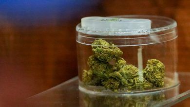 Weed National Survey1 Hfkz Facebookjumbo.jpg