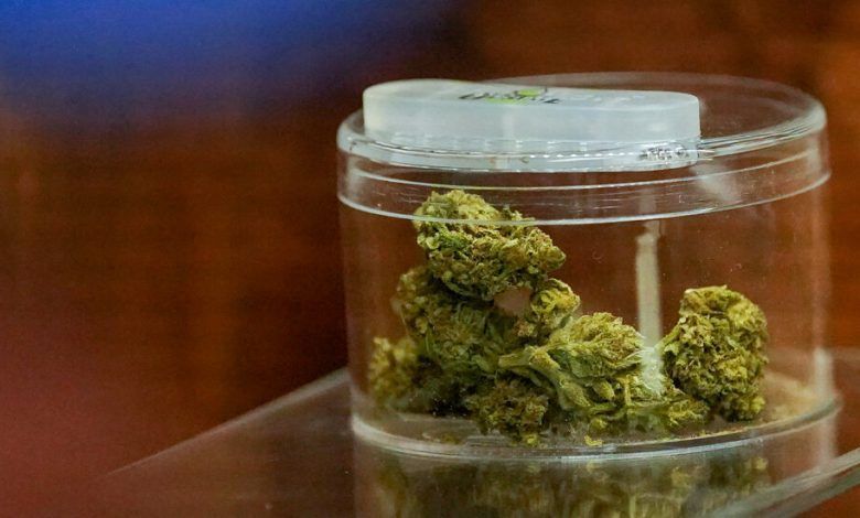 Weed National Survey1 Hfkz Facebookjumbo.jpg