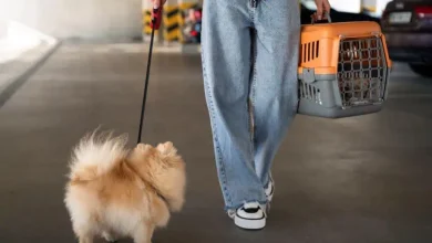 Front View Woman With Cute Dog.jpg