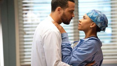 Greys Anatomy Scaled.jpg