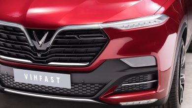 Vinfast Suv 4098 Edit.jpg