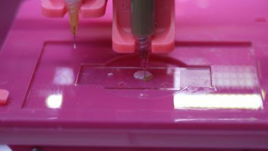 107421691 1717030135398 Loreal Bioprinted Skin.png