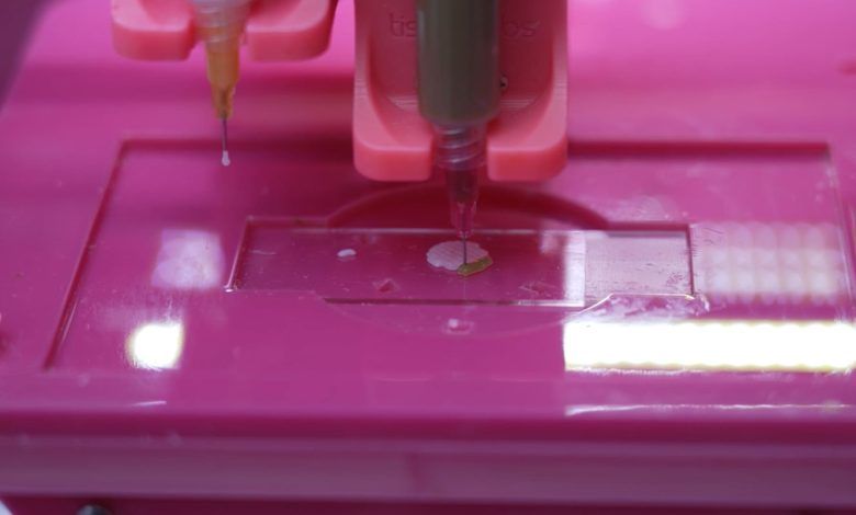 107421691 1717030135398 Loreal Bioprinted Skin.png