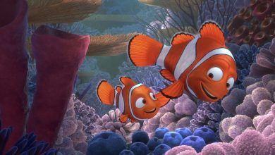 Buscando A Nemo Scaled.jpg