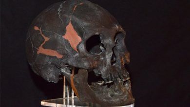 Hombre De Chimalhuacan Inah Mediateca.jpg