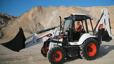 Bobcat Mexico.jpg