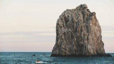 Priss Enri Vl94rarqiua Unsplash.jpg