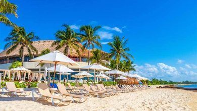 Shutterstock 2092346395 Parasols Arkadij Schell.jpg