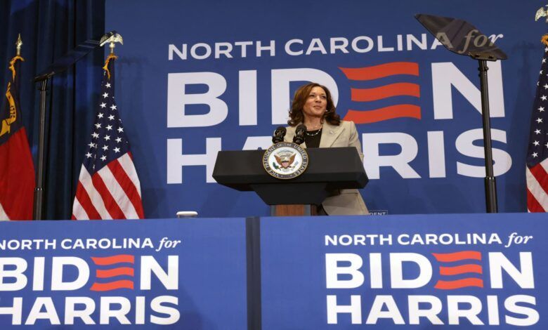 108008534 17213300732024 07 18t191204z 855149124 Rc2vx8aq5xdx Rtrmadp 0 Usa Election Harris.jpeg