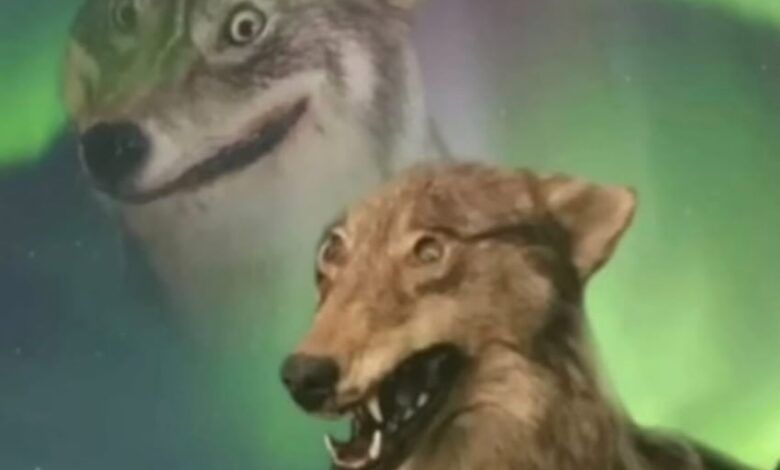 448929149 807944707979527 320128314137194727 N.jpg