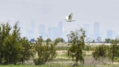 989229 Avances Parque Ecologico Texcoco 4 Impreso 850.jpg