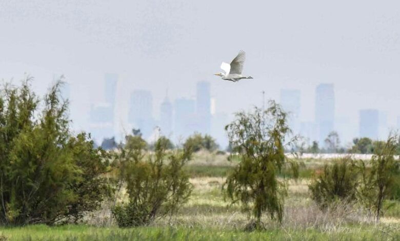 989229 Avances Parque Ecologico Texcoco 4 Impreso 850.jpg