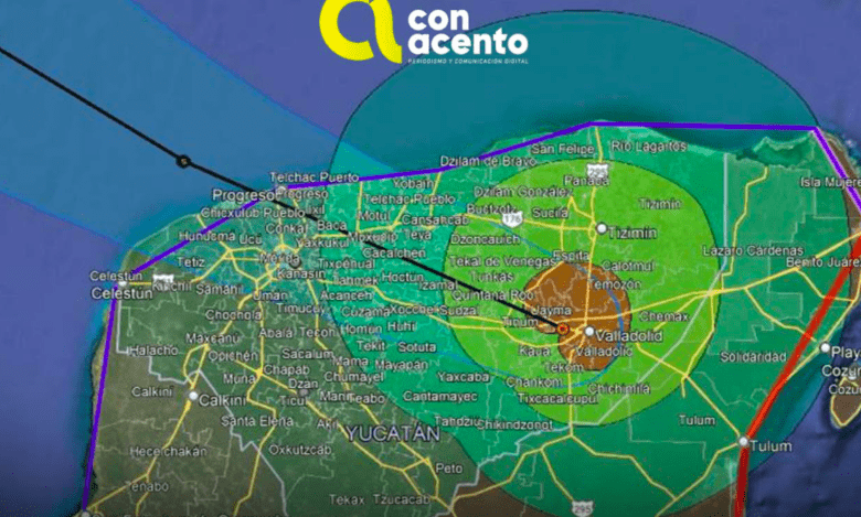 Captura De Pantalla 2024 07 05 A Las 9.48.28.png
