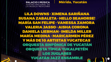 Captura De Pantalla 2024 07 10 A Las 15.27.30.png