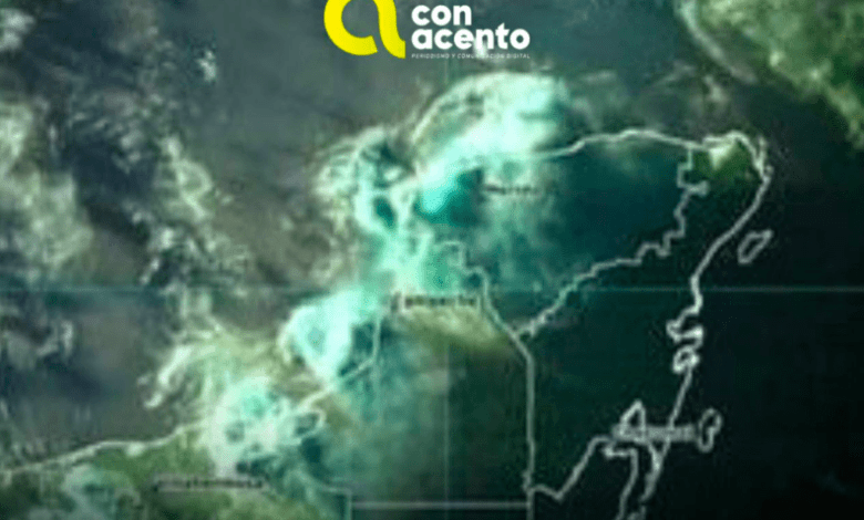 Captura De Pantalla 2024 07 12 A Las 9.44.03.png