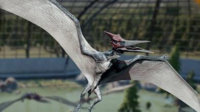 Pterodactyl.jpg