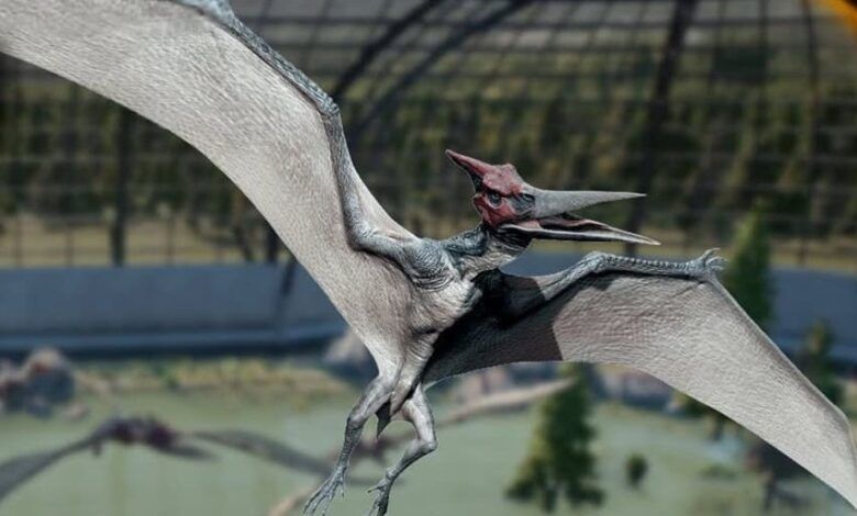 Pterodactyl.jpg
