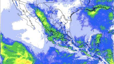 Rain 15 Jul 2024.jpg