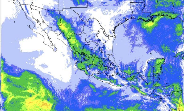Rain 15 Jul 2024.jpg