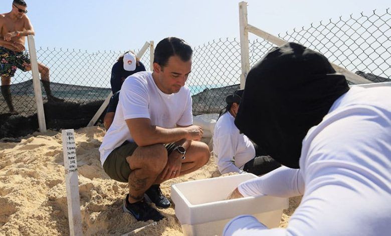 Saving Turtle Eggs On Playa Delfines Cancun Ayuntamiento Benito Juarez Twitter.jpg