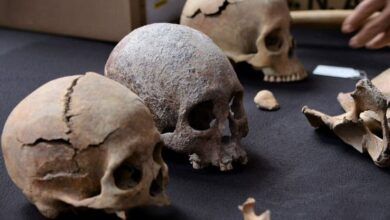 Skulls Inah.jpg