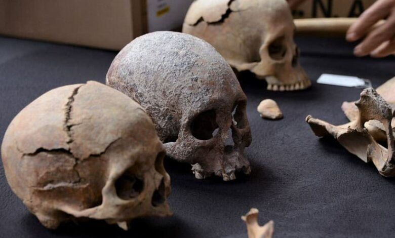 Skulls Inah.jpg
