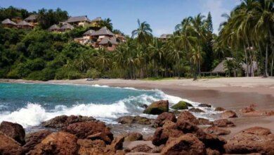 Tenacatita Cover Photo.jpg