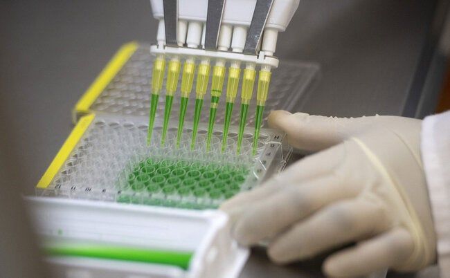 Mrna Vaccine Testingtmb 1500.jpg