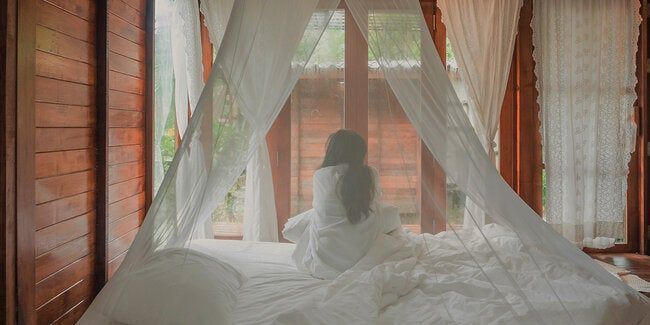 Woman Mosquito Net 1200x600.jpg