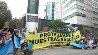 1000491 Protesta Vs Megaproyecto Saguaro 8 Impreso.jpg