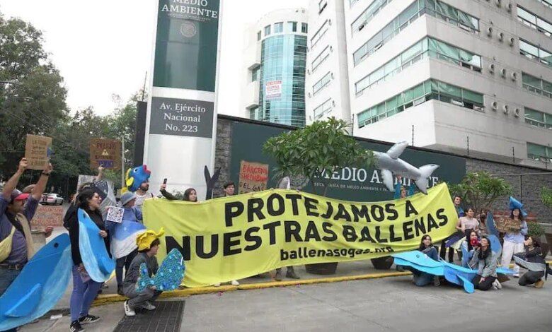 1000491 Protesta Vs Megaproyecto Saguaro 8 Impreso.jpg