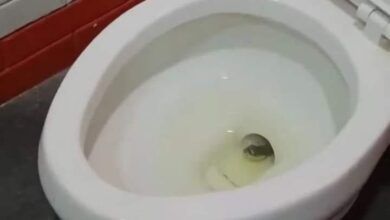 463087517 122159297450254464 4900066259590241149 N.jpg