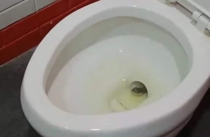 463087517 122159297450254464 4900066259590241149 N.jpg