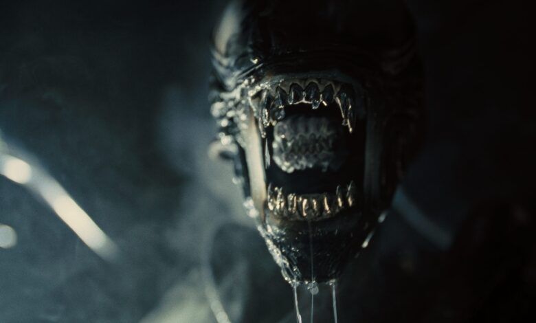 Alien Romulus Scaled.jpg